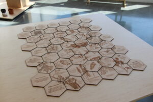 Nature Unfolding,                                       PoMo Edition by Fatemeh Pourseyed