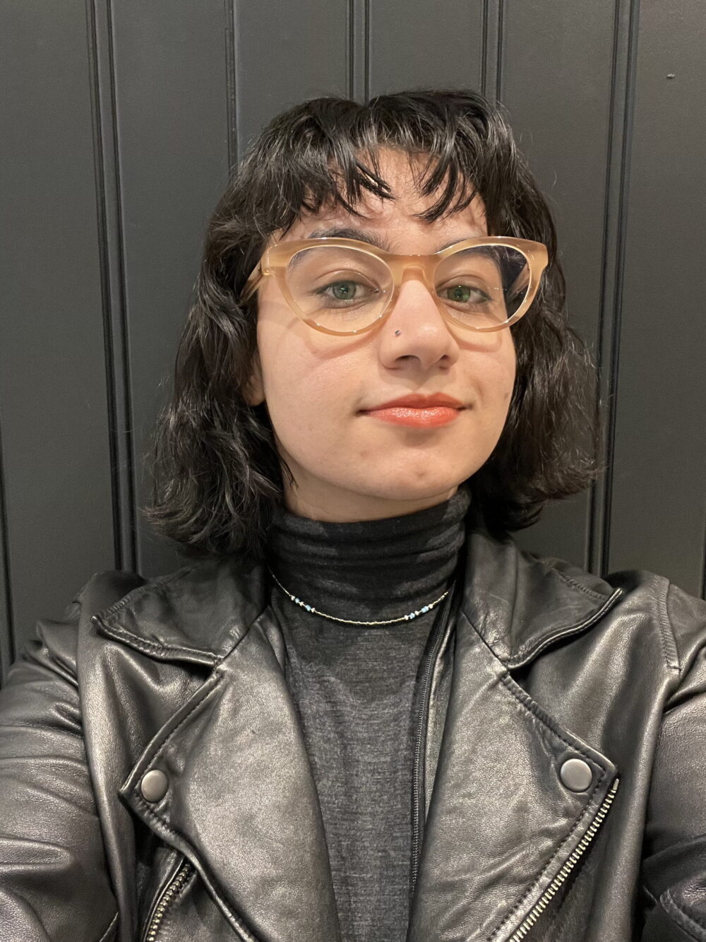 Profile image of Fatemeh Pourseyed