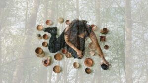 Seasons of Coexistence by Saanvi Bhat