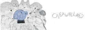 Overwhelmed by Zhenhui Lou