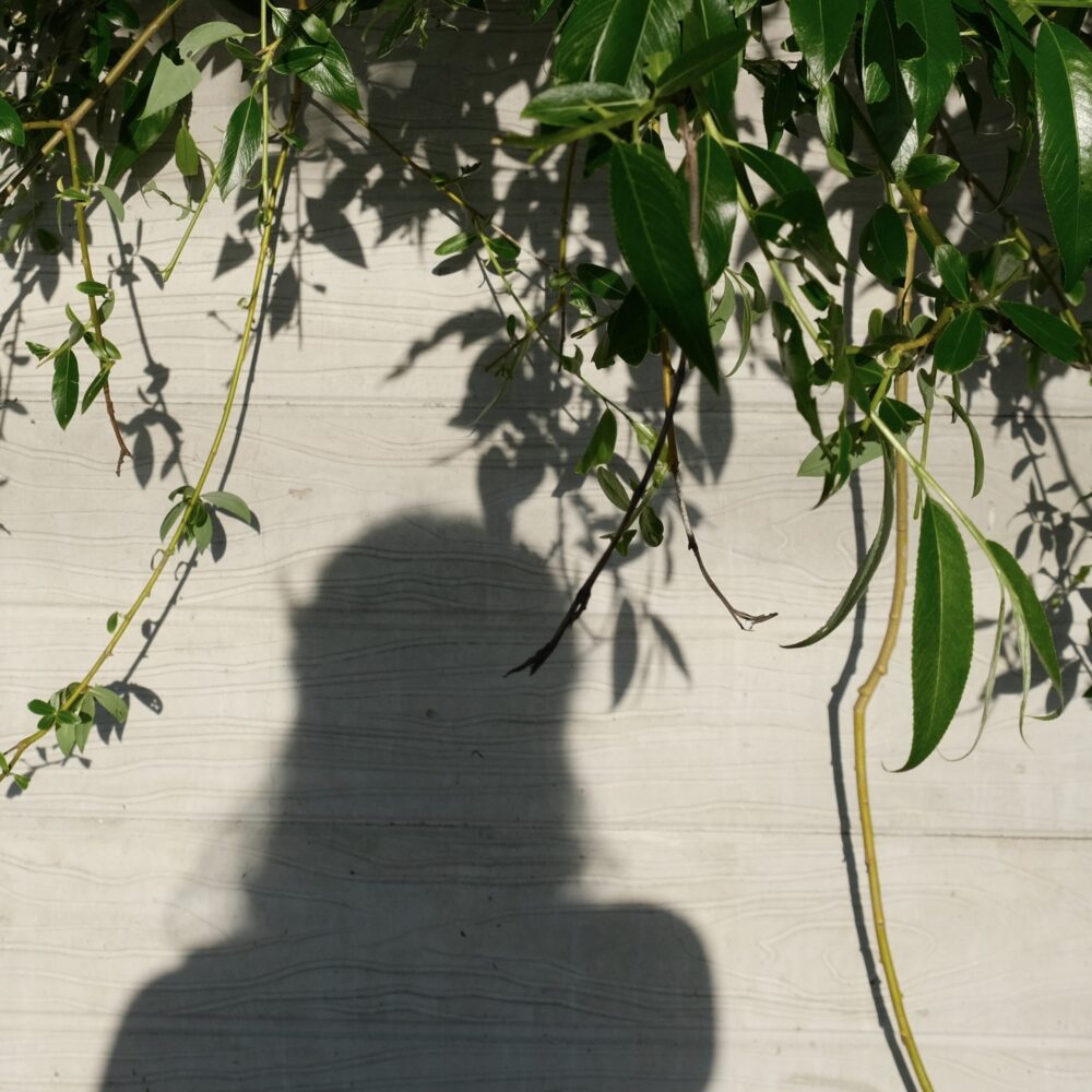 Profile image of Heeeun Daisy Kim