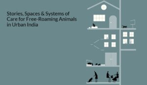 They Live here too. + Divine Paws by Rachita N Murthy